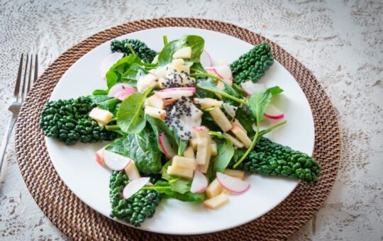 Tips on Ordering Salad Online- Read This Carefully